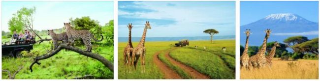 Ecotourism in Tanzania