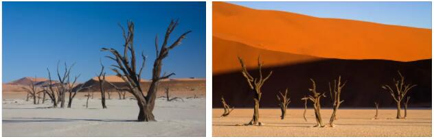 What to See in Namibia