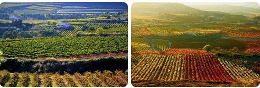 Spain Agriculture