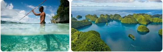 Travel to Palau